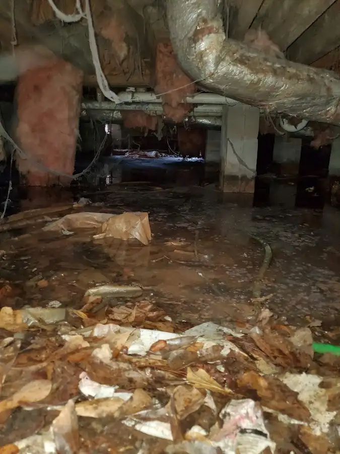 Crawl space flood assessment for Leak Detection & Repair in Navarre
